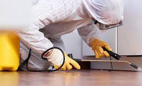 Best Real Estate Pest Inspections  in Holly Ridge, NC